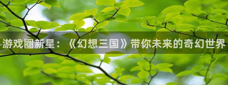 高德娱乐注册地址：游戏圈新星：《幻想三国》带你未来的奇幻世界