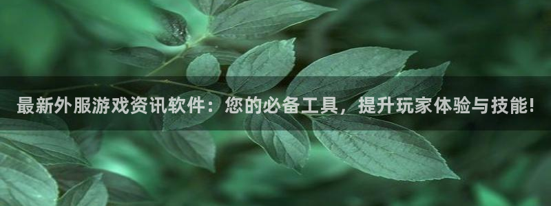 高德娱乐注册网站：最新外服游戏资讯软件：您的必备工具，提升玩