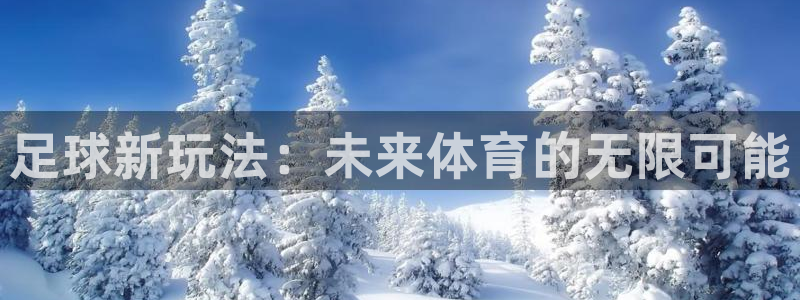 手机版高德娱乐客户端下载：足球新玩法：未来体育的无限可能