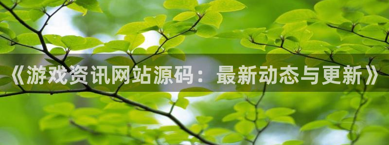 高德娱乐代理登陆：《游戏资讯网站源码：最新动态与更新》