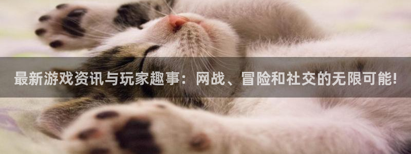 手机高德娱乐下载安装：最新游戏资讯与玩家趣事：网战、冒险和社