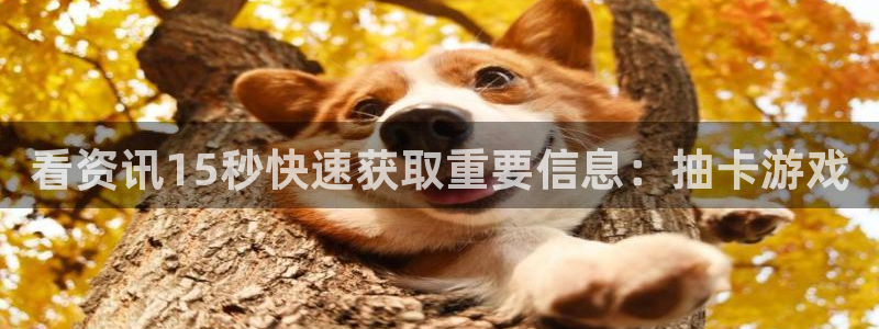 高德娱乐注册平台：看资讯15秒快速获取重要信息：抽卡游戏