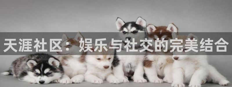 高德娱乐注册：天涯社区：娱乐与社交的完美结合