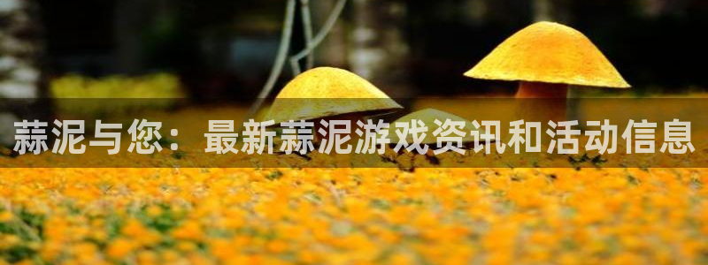 高德娱乐app下载：蒜泥与您：最新蒜泥游戏资讯和活动信息