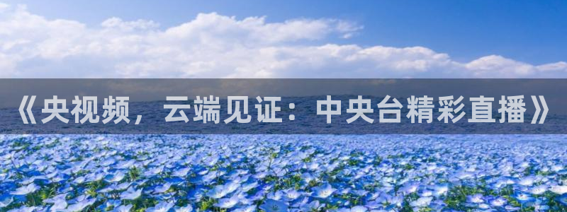龙门体育频道在线直播：《央视频，云端见证：中央台精彩直播》