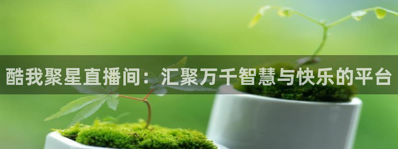 龙门直播app足球直播下载：酷我聚星直播间：汇聚万千智慧与快乐的平台