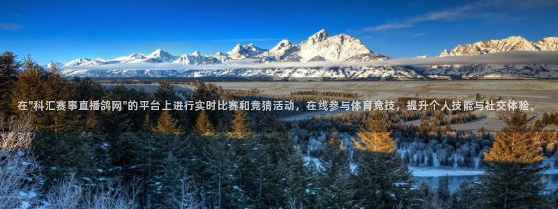 龙门体育直播：在\