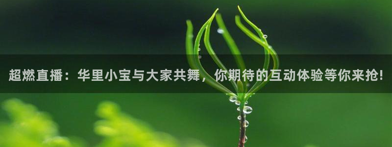 龙门直播免费下载入口：超燃直播：华里小宝与大家共舞，你期待的互动体验等你来抢!